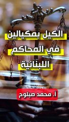 الكيل بمكيالين في محاكم لبنان