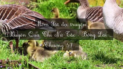 C57-C65 Xuyên Qua Chi Nữ Tắc - Bồng Lai Khách