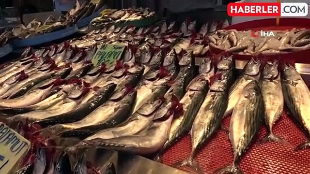 Balıkçı ağları palamut ile doldu, tezgahtaki fiyatı 75 TL'ye düştü