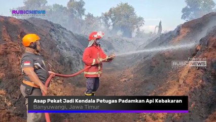 Asap Pekat Jadi Kendala Petugas Padamkan Api di Pabrik Penggilingan Sabut Kelapa PT HAKA, Ternyata Ini Penyebab Kebakaran