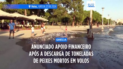 Download Video: Autoridades gregas anunciam apoio financeiro após a descarga de toneladas de peixes mortos em Volos