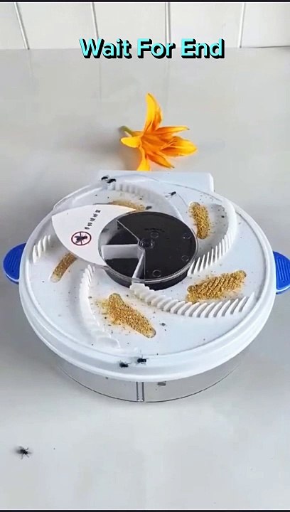 Mosquito  Killer Device, LED Lights and Chocolate  Maker Device