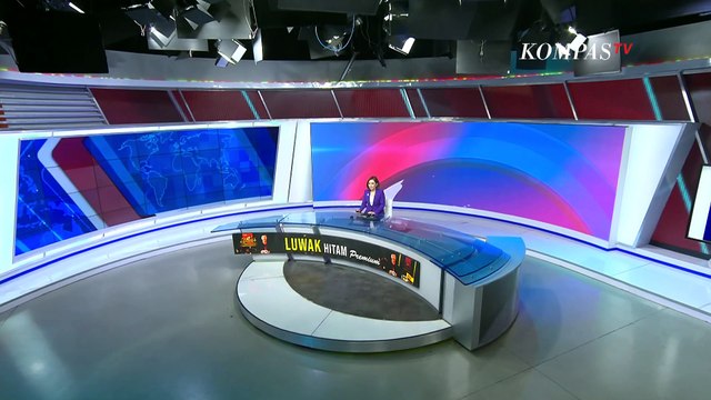 Lebih Dekat dengan Paus Fransiskus, Pemimpin Gereja Katolik yang Fokus Dorong Perdamaian Dunia