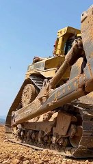 The Story Behind Caterpillar name... Did you know?