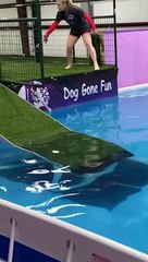 #Big fails  #viral #shorts #fails #funny #fails #Relax #Mind peaceful