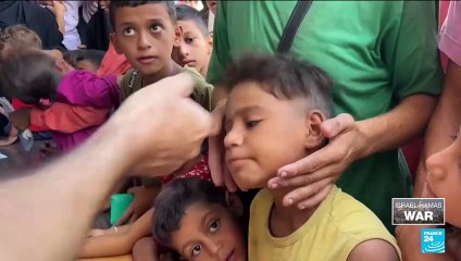 Polio vaccination campaign begins in Gaza