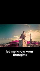 Zootopia 2 Is Coming, Here's What We Need to See!