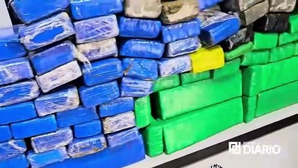 Polícia Civil apreende aproximadamente 100 quilos de drogas na zona rural de Campina Grande
