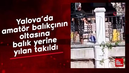 Yalova’da amatör balıkçının oltasına balık yerine yılan takıldı