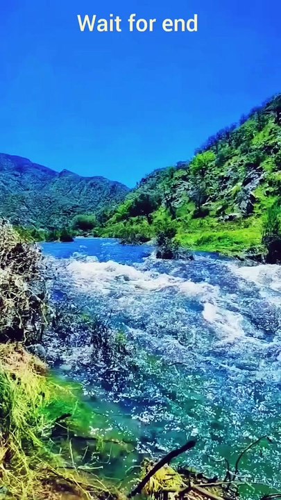 Islamic stutas, short video, viral shorts