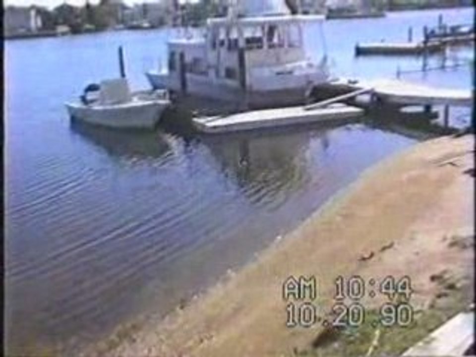 Cool homes including old backyard TC Trance remix