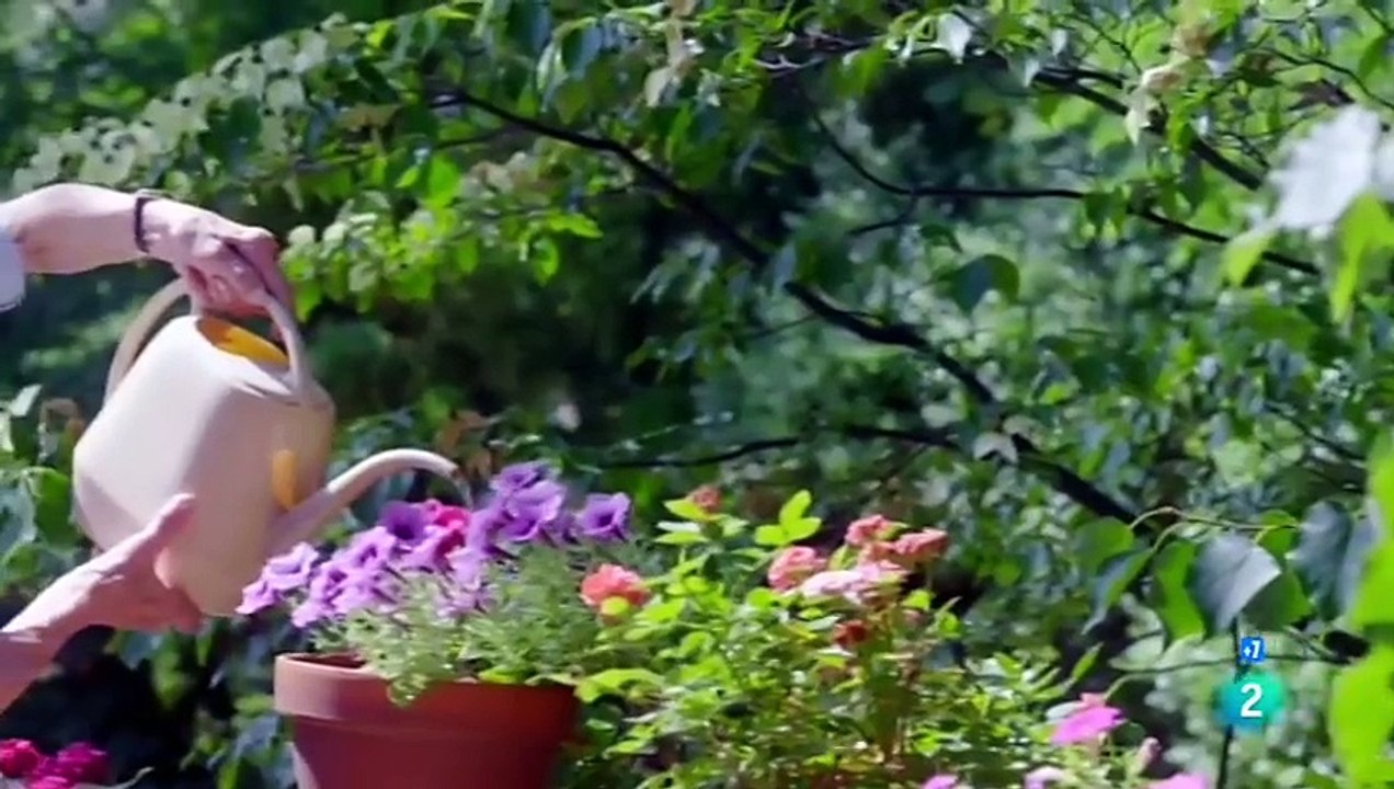 El Impacto de Internet en la Humanidad: Pasado, Presente y Futuro