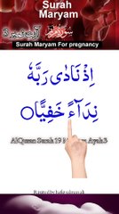 Al-Quran - Surah 19 - Maryam - Ayah 3 | quran tilawat everyday | hafiz salman ali