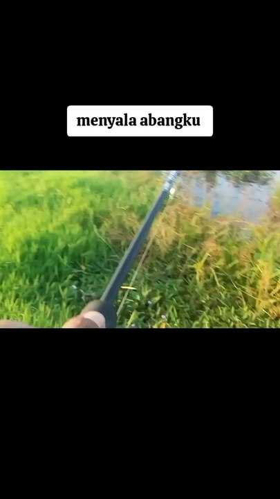Mancing mania