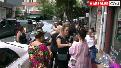 Kadıköy'de hayvan katliamı: Köpek ve kedileri zehirlediler