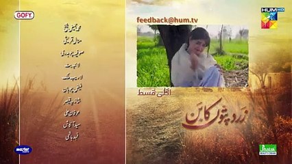 Zard Patton Ka Bunn - Episode 18 Teaser - [ Sajal Ali & Hamza Sohail ] - HUM TV