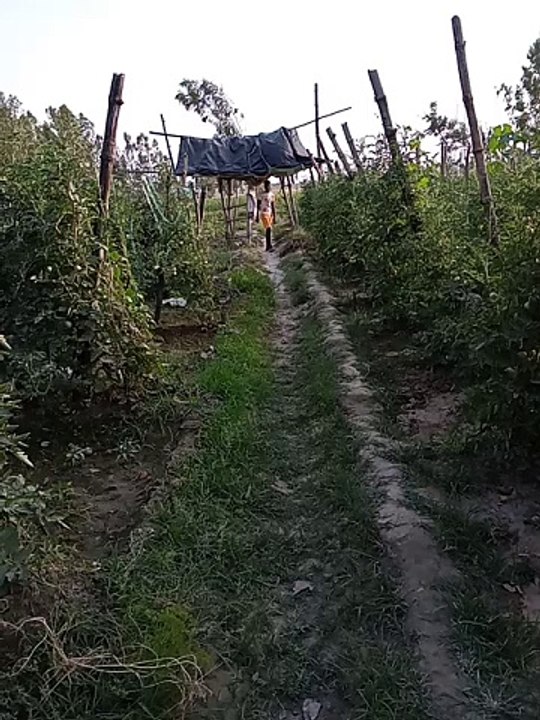 MY first vlog || khet ki Masti