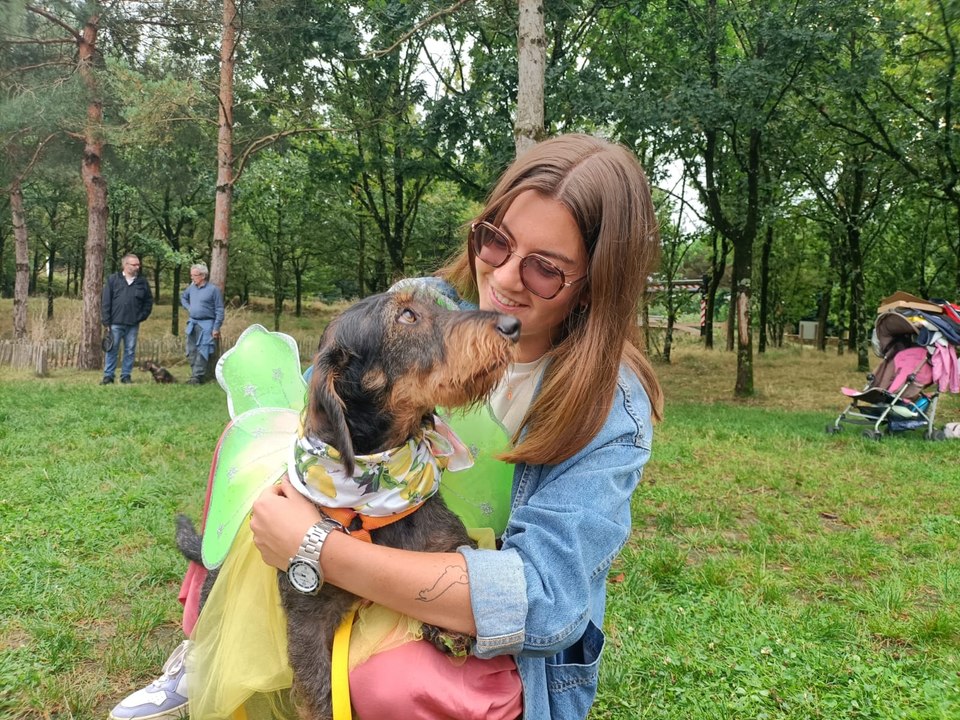 Rassemblement de chiens saucisses près de Nantes