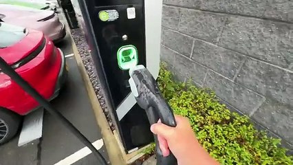 I TRAVELLED to the 51st STATE of AMERICA for GREAT FOOD at PRICES SO LOW they TRUMP the COMPETITION!