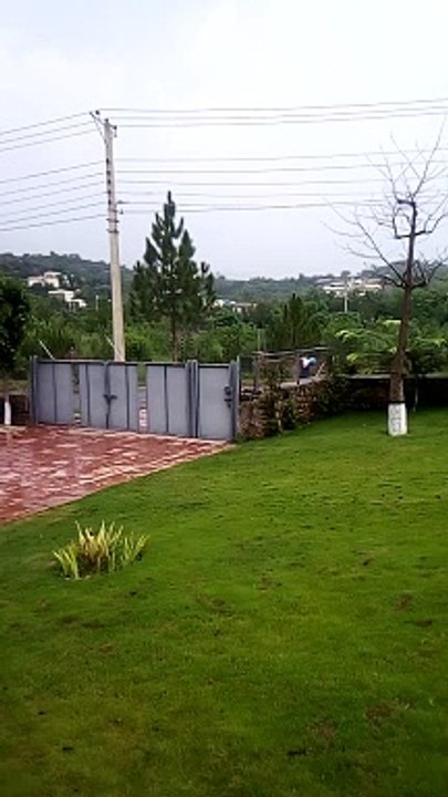VID_20240803_144429