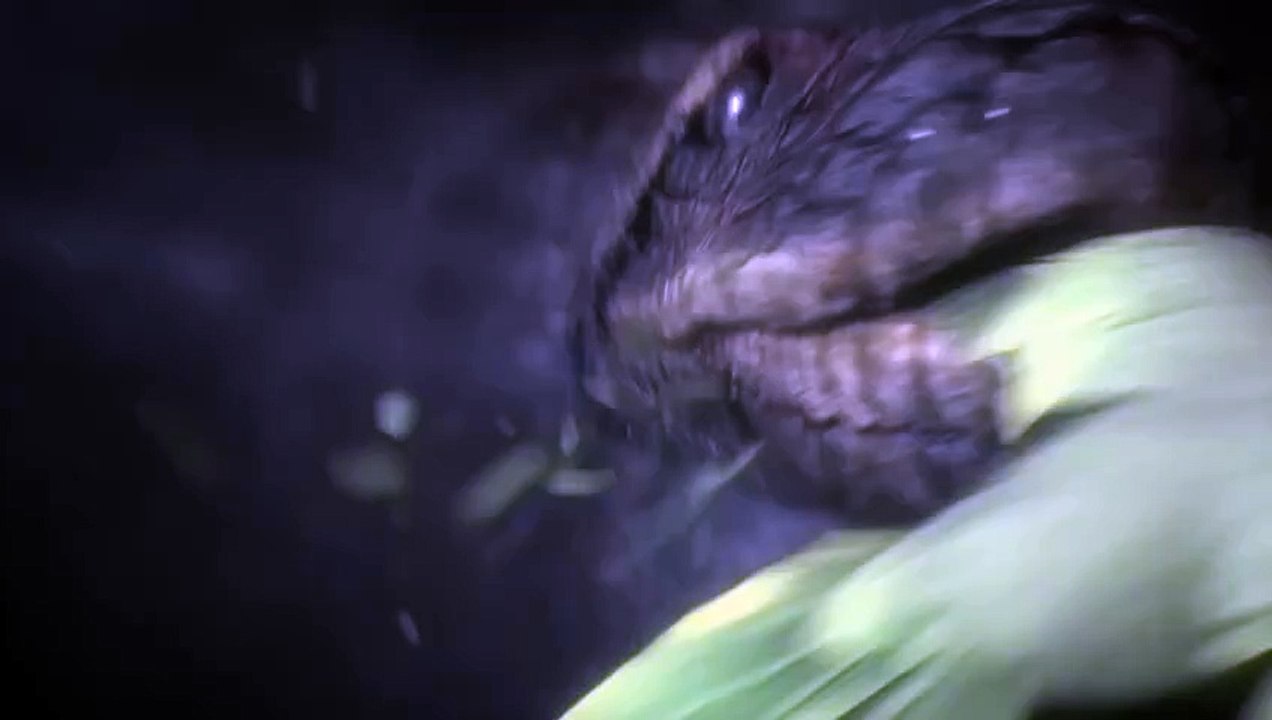 PRIMER TRÁILER DE METAL GEAR SOLID 3 REMAKE