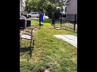 Funny video #funny #viral #trending #comedy #short #viralshorts #entertainment #fun