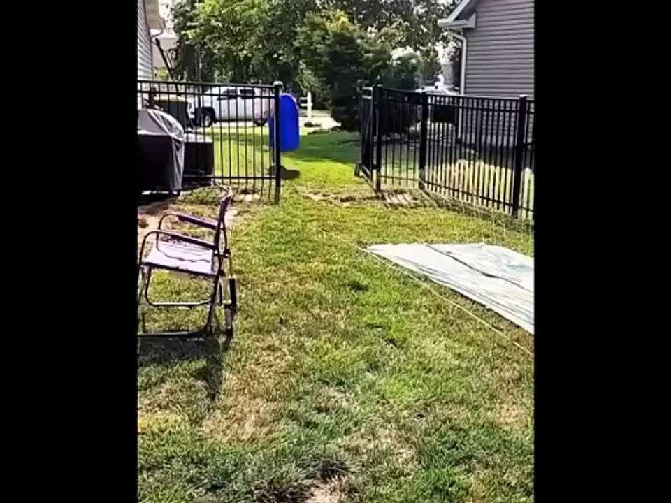 Funny video #funny #viral #trending #comedy #short #viralshorts #entertainment #fun