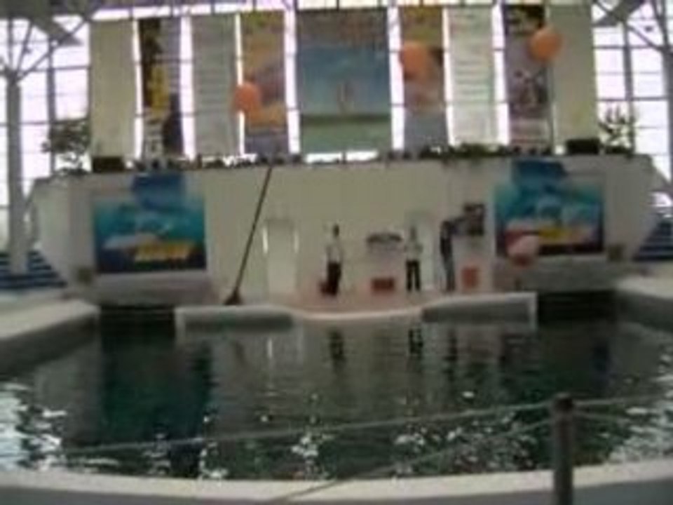 Маги 169