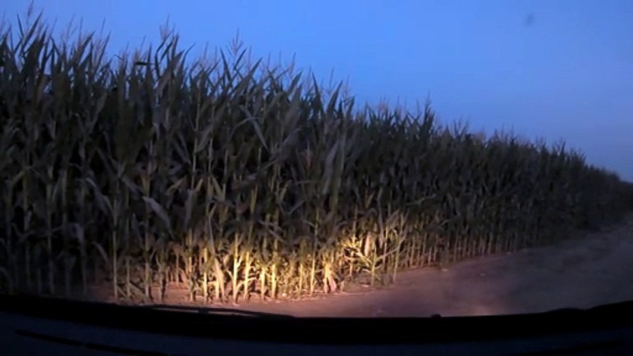PopCorn traverse dans les champs