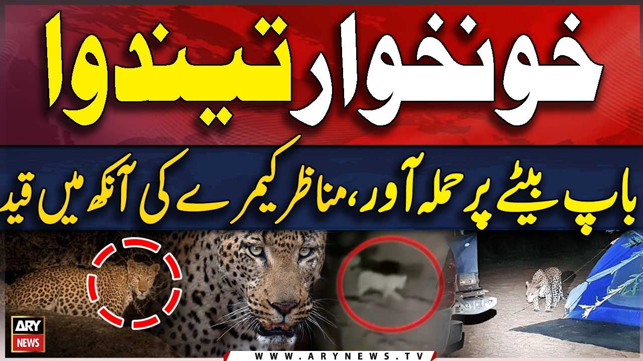 Leopard Attacks Trigger panic in Haripur | Breaking News | Video Viral