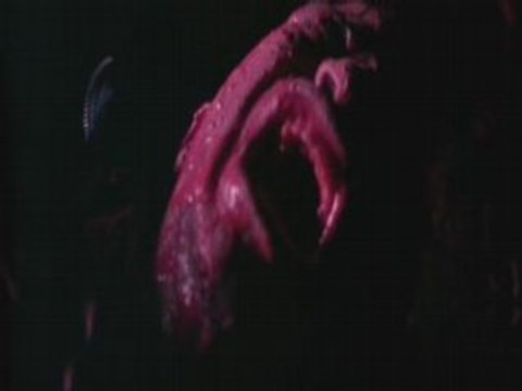 film Bones français - snoop dogg part 5