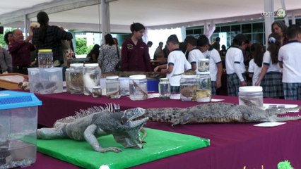 Supera expectativas de visitantes la Colección Biológica Itinerante