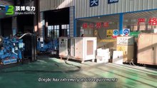 Dingbo Diesel Generator Quality