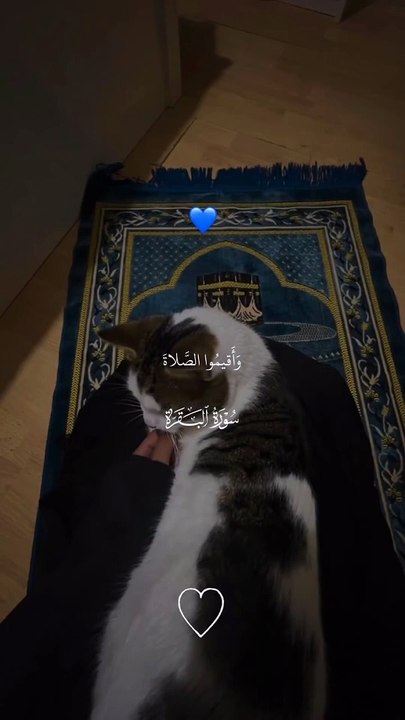 Quran. Tilawat.