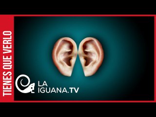Díaz-Canel respondió a Lacalle: Escuche a su pueblo que firmó contra su paquetazo neoliberal(+Celac)