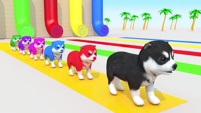 Educational Cartoon For Kids To Learn Colors With Rainbow Pets And Farm Animals - Nursery Rhymes, Kids Songs and Cartoons for Children