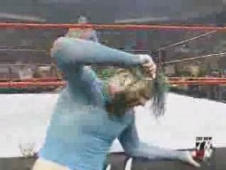 The hardy boys vs brock lesnar