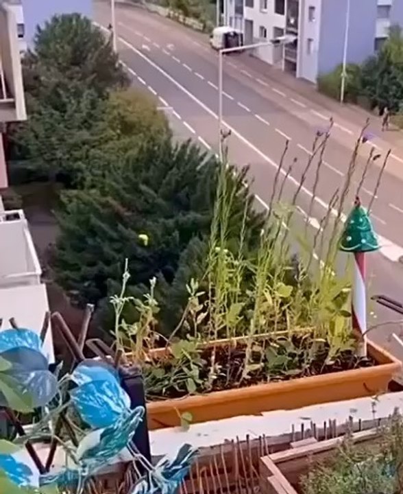 Que le temps passe vite : c’est déjà la #rentrée scolaire. #Adieu la belle ambiance des jeux Olympiques, retour à la #réalité comme ici à #Colmar. Je voudrais que l'intelligence fût reprise au démon et rendue à Dieu ! #bandits #police