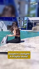Heartwarming Moment: Girl Embraces Dolphin