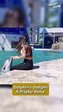 Heartwarming Moment: Girl Embraces Dolphin