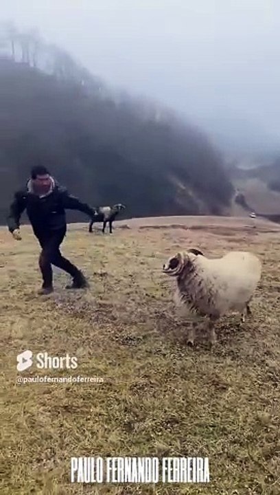 Jump Over