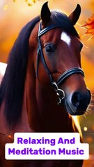 Relaxing Music And Meditation Music Calm music sleep music Short Video