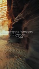 Introducing Our New Arrivals