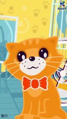 اغنية عندي قطة وأنت لأ