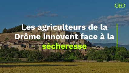 Les agriculteurs de la Drôme innovent face à la sécheresse