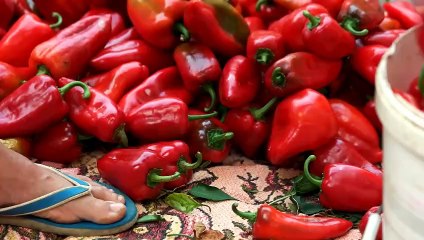 The Supply Chain Report News Roundup - 2nd September 2024