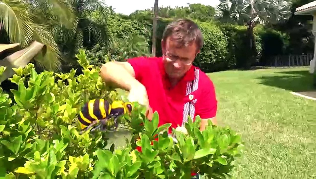 Diana Play with Dad - Fun Storybook for Kids | Engaging Children’s Storytime with Dad & Diana | Interactive Family Fun & Educational Storybook Adventures for Kids | Entertaining and Heartwarming Stories for Young Readers | Perfect Bedtime Stories for Kids