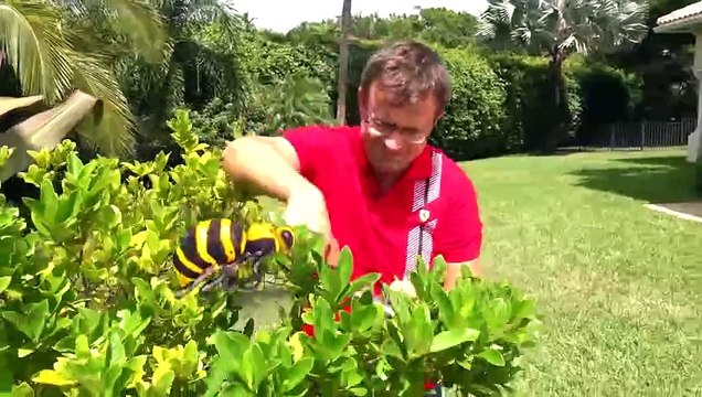 Diana Play with Dad - Fun Storybook for Kids | Engaging Children’s Storytime with Dad & Diana | Interactive Family Fun & Educational Storybook Adventures for Kids | Entertaining and Heartwarming Stories for Young Readers | Perfect Bedtime Stories for Kids