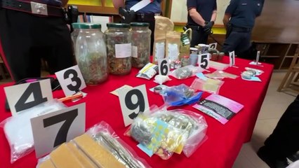 Livorno, maxioperazione antidroga dei carabinieri