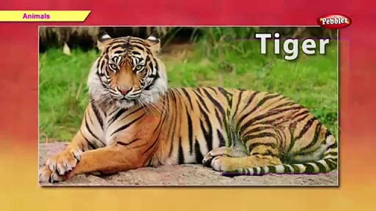 Pre_School_Learning_For_Kids__Animals,_Birds,_Animal_Sounds,_Fruits,_Flowers,_Vegetables